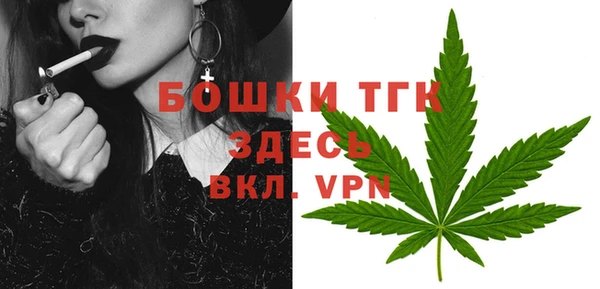 гашик Балахна