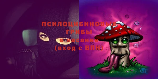 гашик Балахна