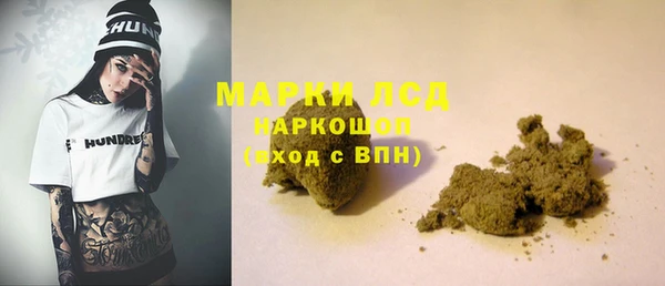 прущие грибы Армянск
