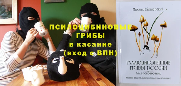 гашик Балахна
