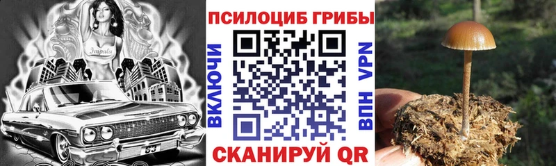 Галлюциногенные грибы GOLDEN TEACHER  Среднеуральск 